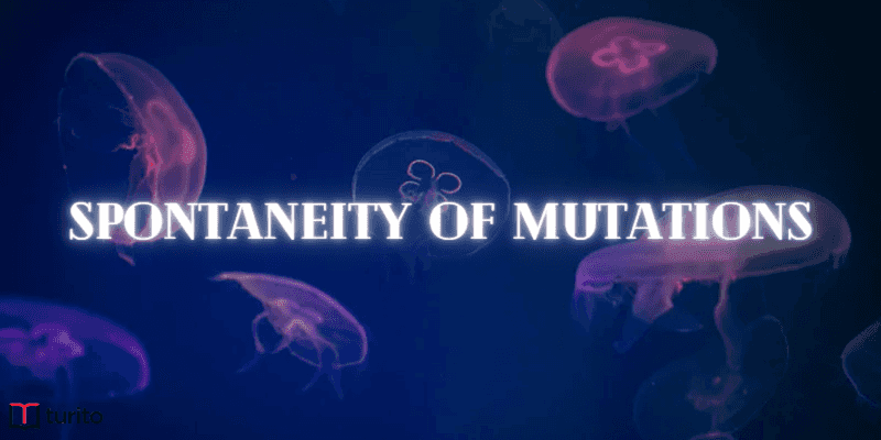 Spontaneity of Mutations