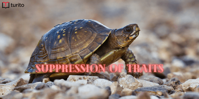 Suppression of traits