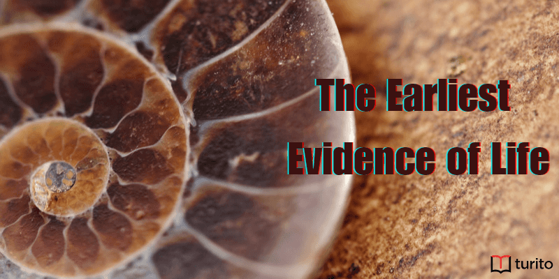 The Earliest Evidence of Life