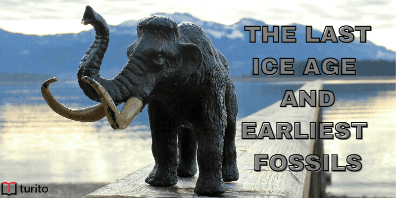 last ice age and earliest fossils