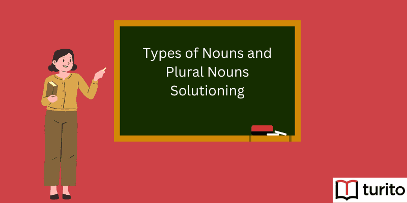 Types of nouns and plural nouns solutioning