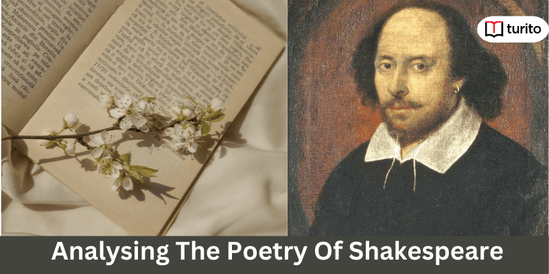 Analysing the Poetry of Shakespeare
