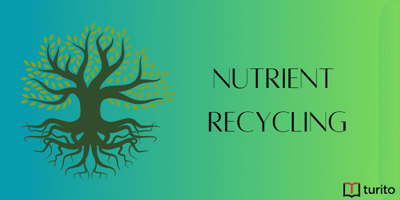 Nutrient recycling