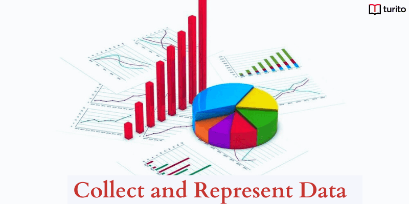 Collect and Represent Data