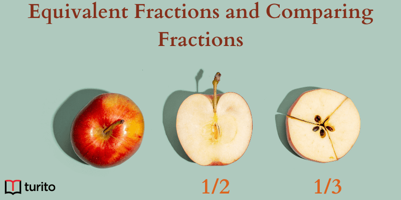 Equivalent Fractions and Comparing Fractions