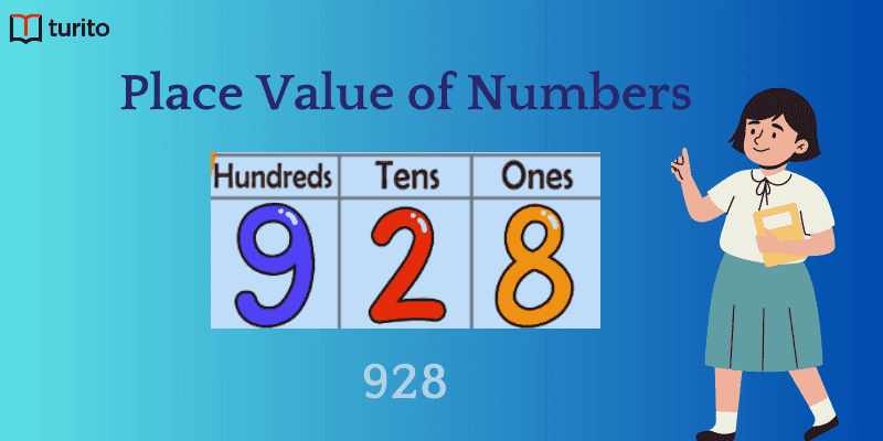 Place Value of Numbers