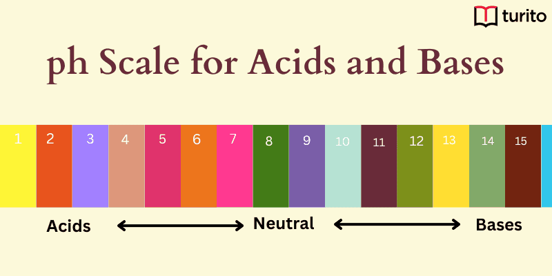 pH scales of acids and bases