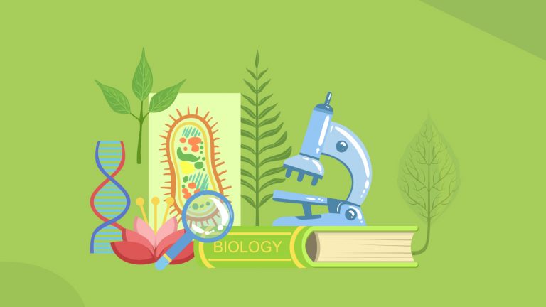 Fun and Useful Mnemonics Suggestions for Biology Students